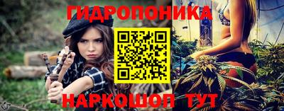 a pvp Гатчина