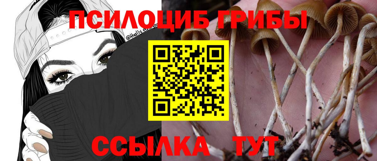 Галлюциногенные грибы Magic Shrooms  Вход с VPN  Горно-Алтайск 