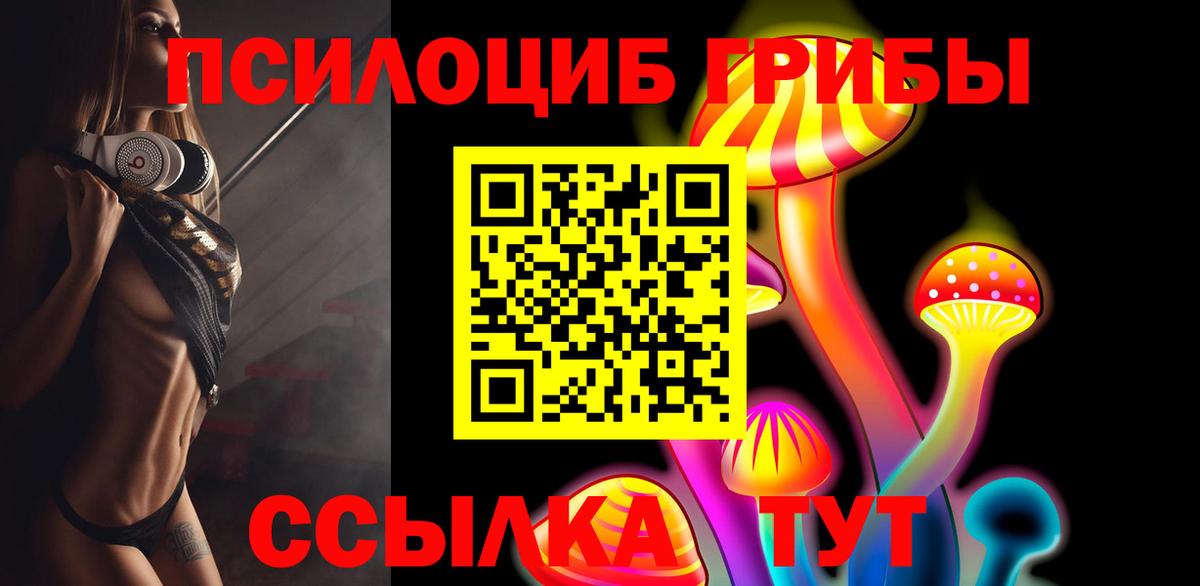 Псилоцибиновые грибы MAGIC MUSHROOMS Горно-Алтайск